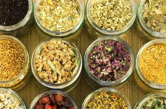 čištění těla parazitů pomocí lidových prostředků