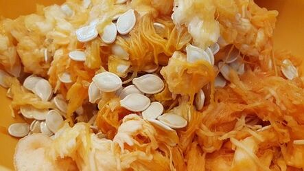 dýňová dužina a semena pro parazity